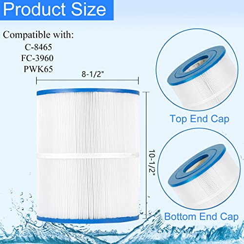PWK65 Spa Filter Cartridge Replaces for C