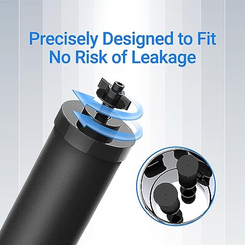 Gravity Water Filter (2 Count)