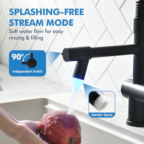 Kitchen Faucet with Pull Down Sprayer