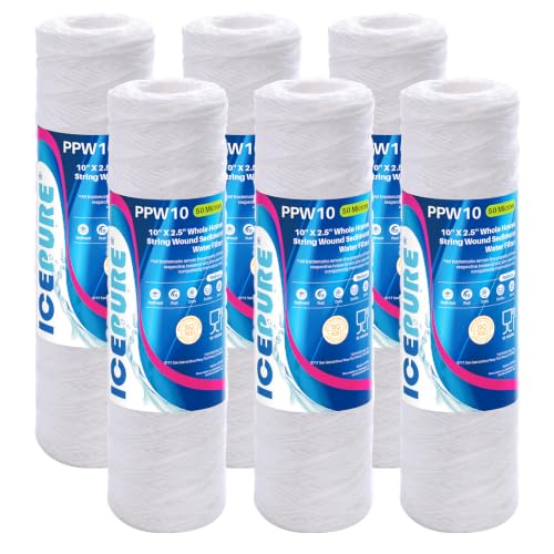 50 Micron 10