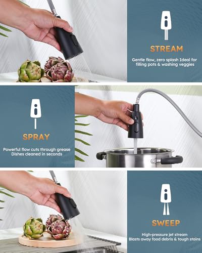 Black Kitchen Faucet with Soap Dispenser