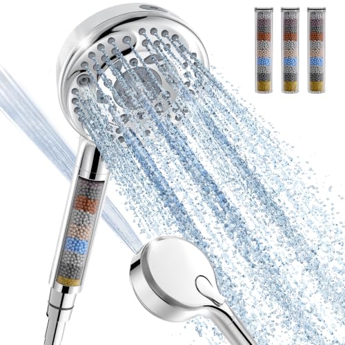 Filtered Shower Head with Handheld
