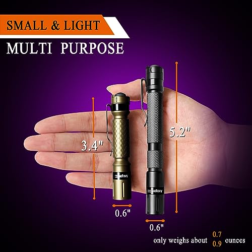 UV Flashlight 2 Pack (2 Count)