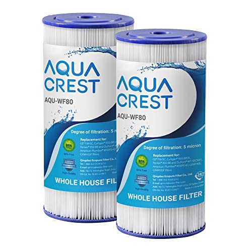FXHSC Whole House Water Filter for GE® FXHSC (2 Count)