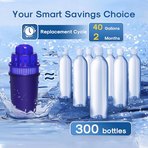 Pitcher Water Filter (6 Count)