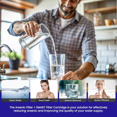 Arsenic Removal + SMART Filter Cartridge 4