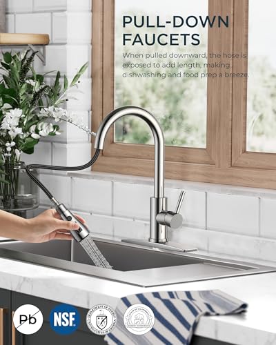 Kitchen Faucet with Pull Down Sprayer