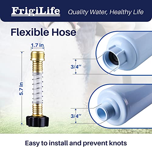 RV Water Filter (2 Count)