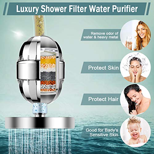 Filtered Shower Head with Handheld