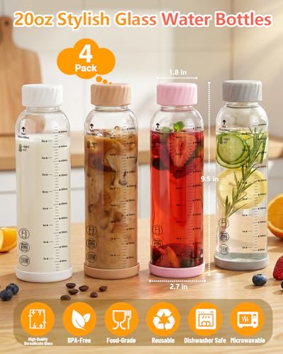 Borosilicate Glass Water Bottles with Stainless Steel Lid 20 oz (4 Count)