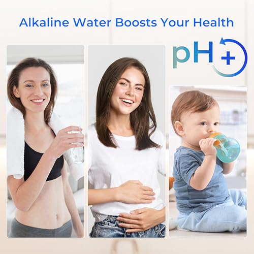 TK AD Alkaline Gravity Water Filter System
