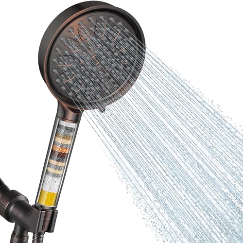 Filtered Shower Head with Handheld