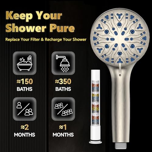 High Pressure Filtered Shower Head with Handheld