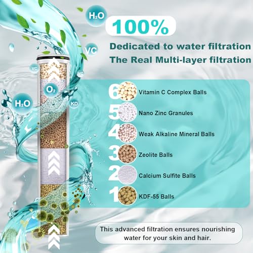 Filtered Shower Head with Handheld