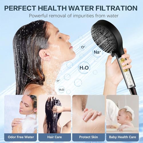 Filtered Shower Head with Handheld