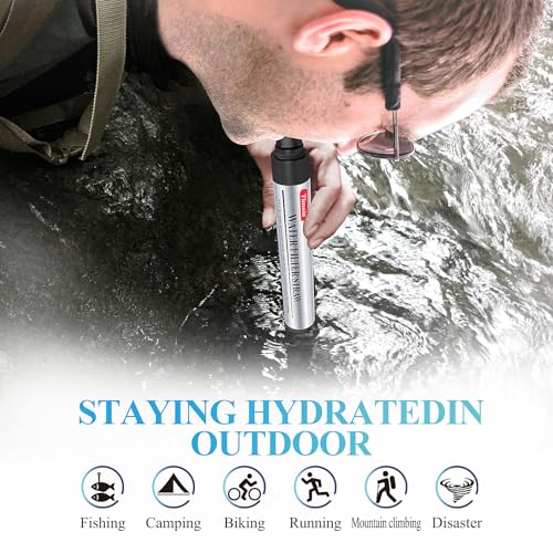4 Pack Mini Water Filter Straws