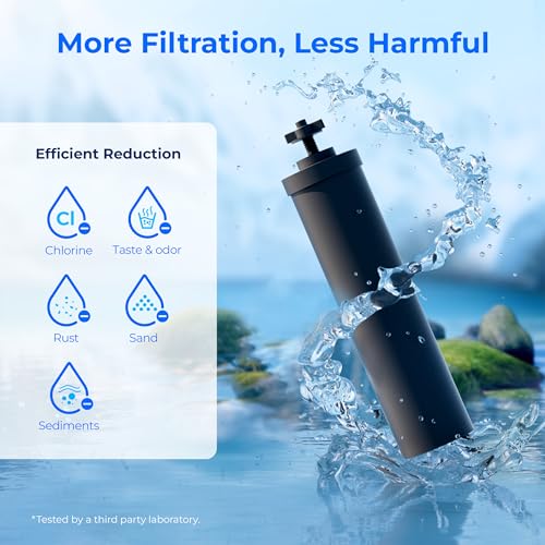 Black Water Filter (3 Count)