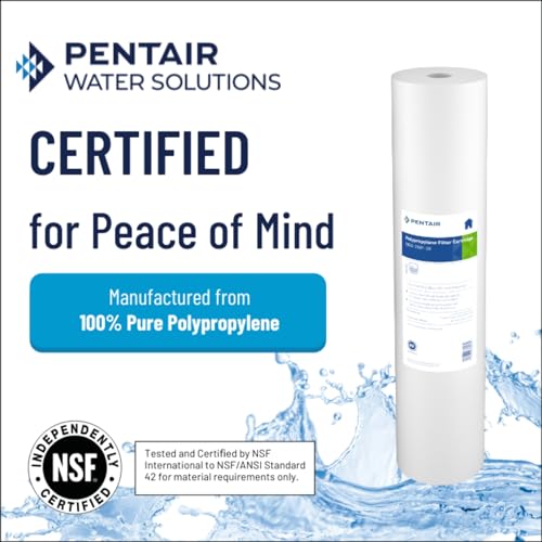 Pentair Pentek DGD (2 Count)