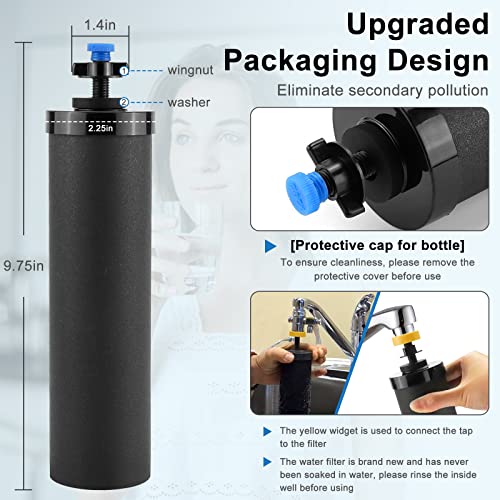 Activated Carbon Black Water Filter Compatible with Berkey® (2 Count)