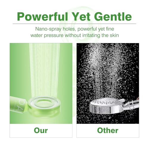 Filtered Shower Head with Handheld