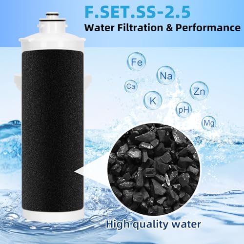 Replacement Filter F.SET.SS (2 Count)