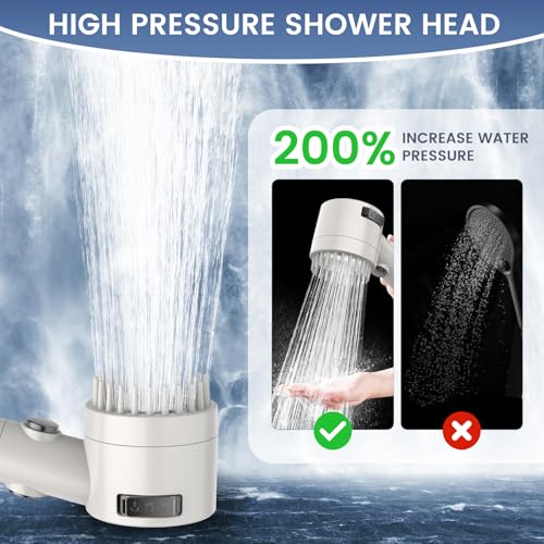 Filtered Shower Head with Handheld