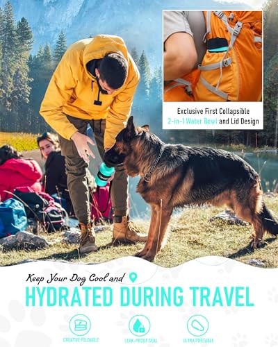 Dog Water Bottle