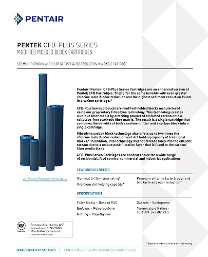 Pentair Pentek CFB