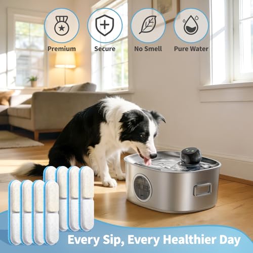 8 Pack Replacement Filters for WF400 Fountain