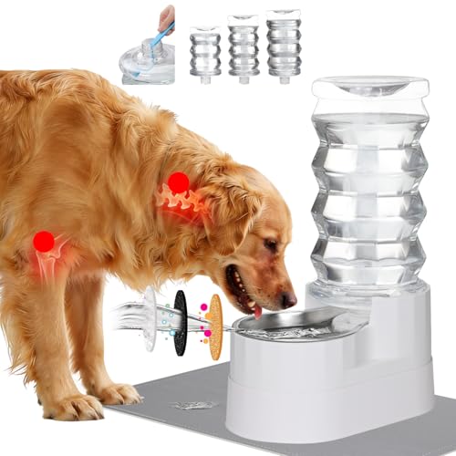 8L Elevated Dog Water Dispenser