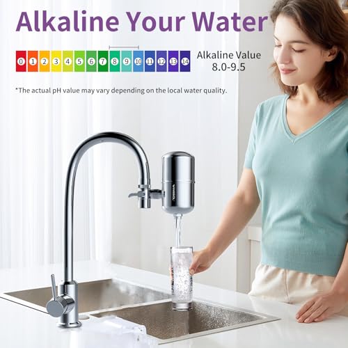 Stainless Steel Mineral Alkaline Water Filter for Sink Faucet