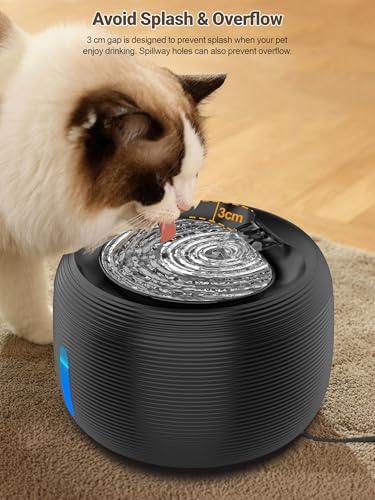 Cat Water Fountain
