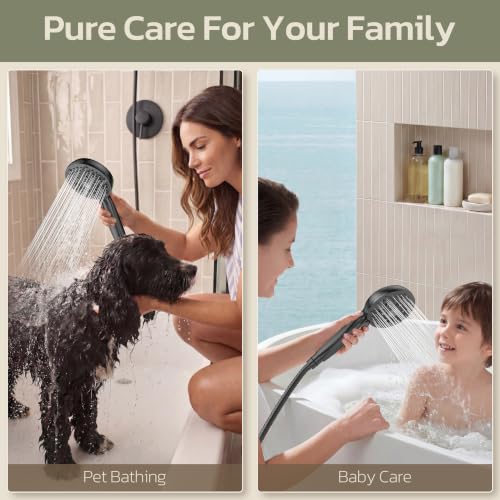 Shower Head with Handheld