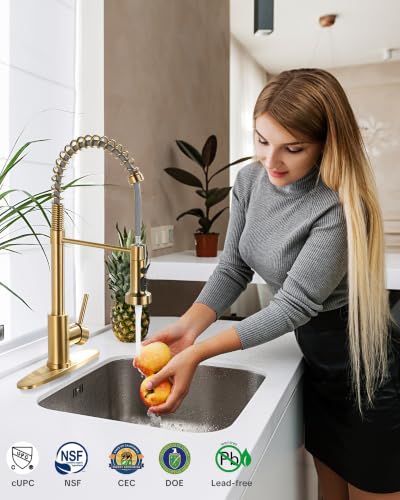 Kitchen Faucets with Pull Down Sprayer