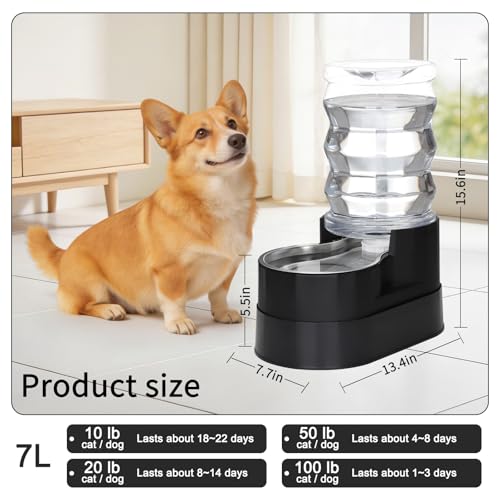 7L Raised Dog Water Dispenser