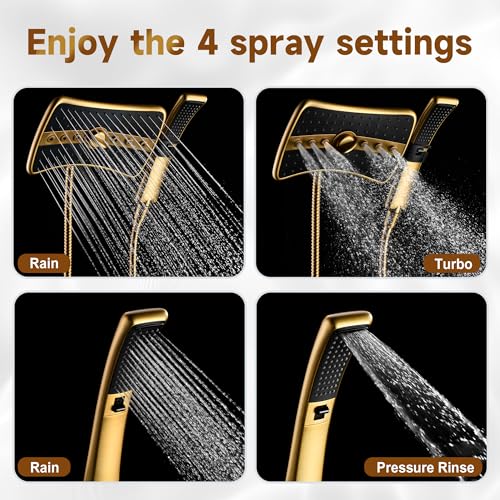 Dual Shower Head with Handheld