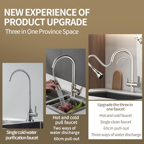 Kitchen Sink Faucet with Pull