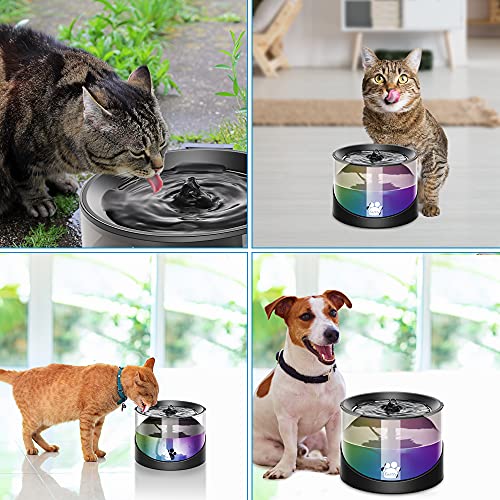 Cat Water Fountain
