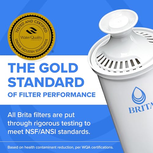 Large 10 Cup Water Filter Pitcher
