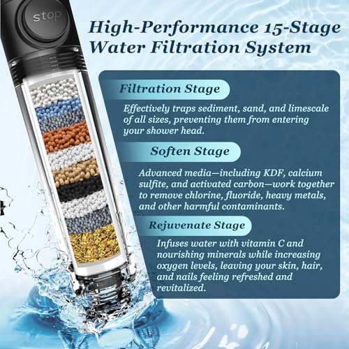 Filtered Shower Head with Handheld