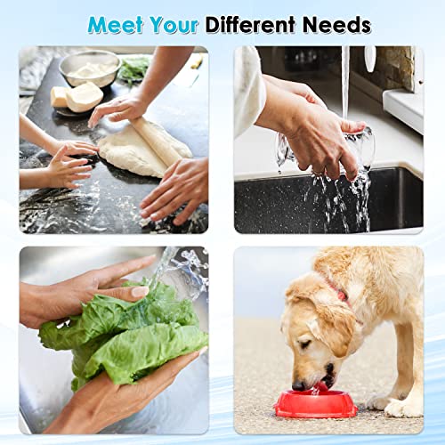2 Faucet Water Filter for Sink