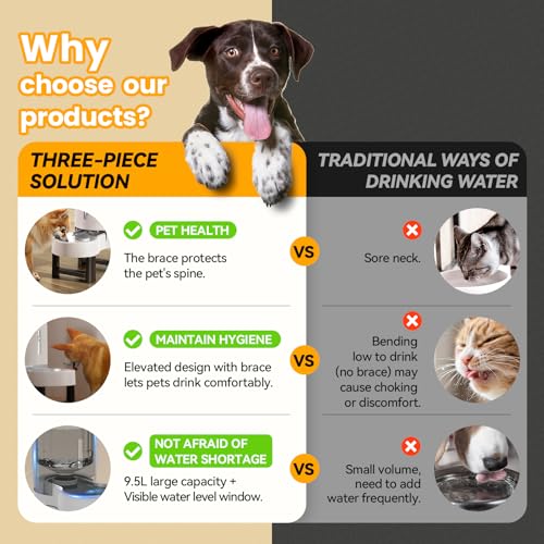 Elevated Dog Water Bowl Dispenser for Large Dogs