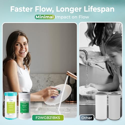 F2WGB21BKS 2 Stage Whole House Water Filter Set for WGB21B