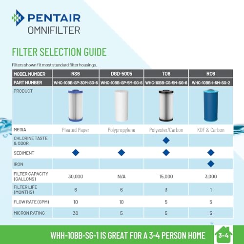 Pentair OMNIFilter Whole Home 10