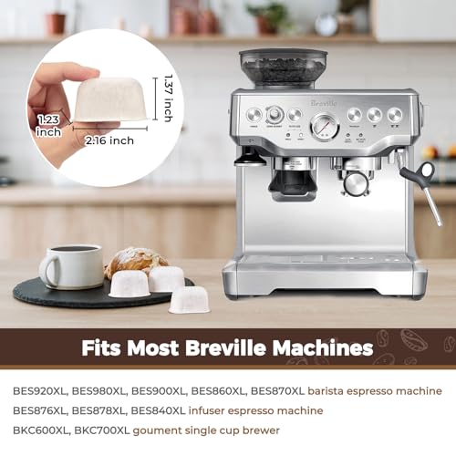 6 Pack Resin Water Filters for Breville BWF100 (6 Count)