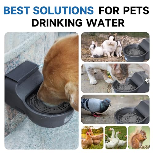 Automatic Dog Water Dispenser with Anti