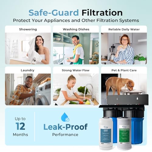 WGB21B-PB 2-Stage Whole House Water Filtration System w/ 10” x 4.5” Carbon Block FC15B and Lead Reducing Filter FCRC15B, 1" Inlet/Outlet Ports