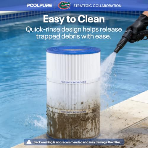 PAP75 Pool Filter Replaces Pentair CC75 1PACK