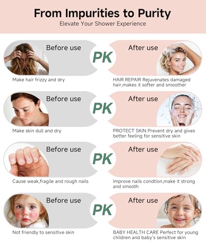 Filtered Shower Head with Handheld