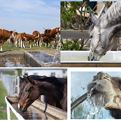 Cubic Water Trough Filter
